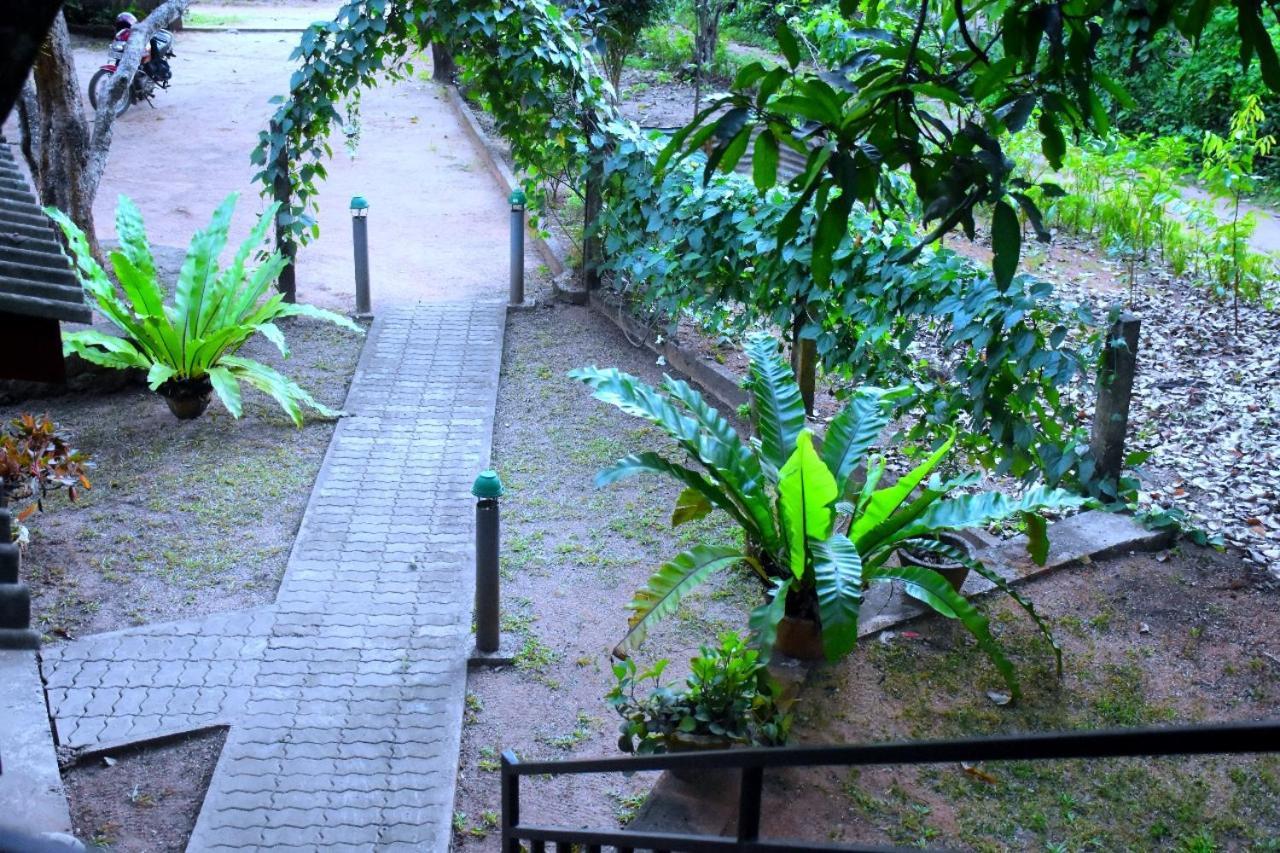 Wild Heaven Udawalawe Hotel Bagian luar foto