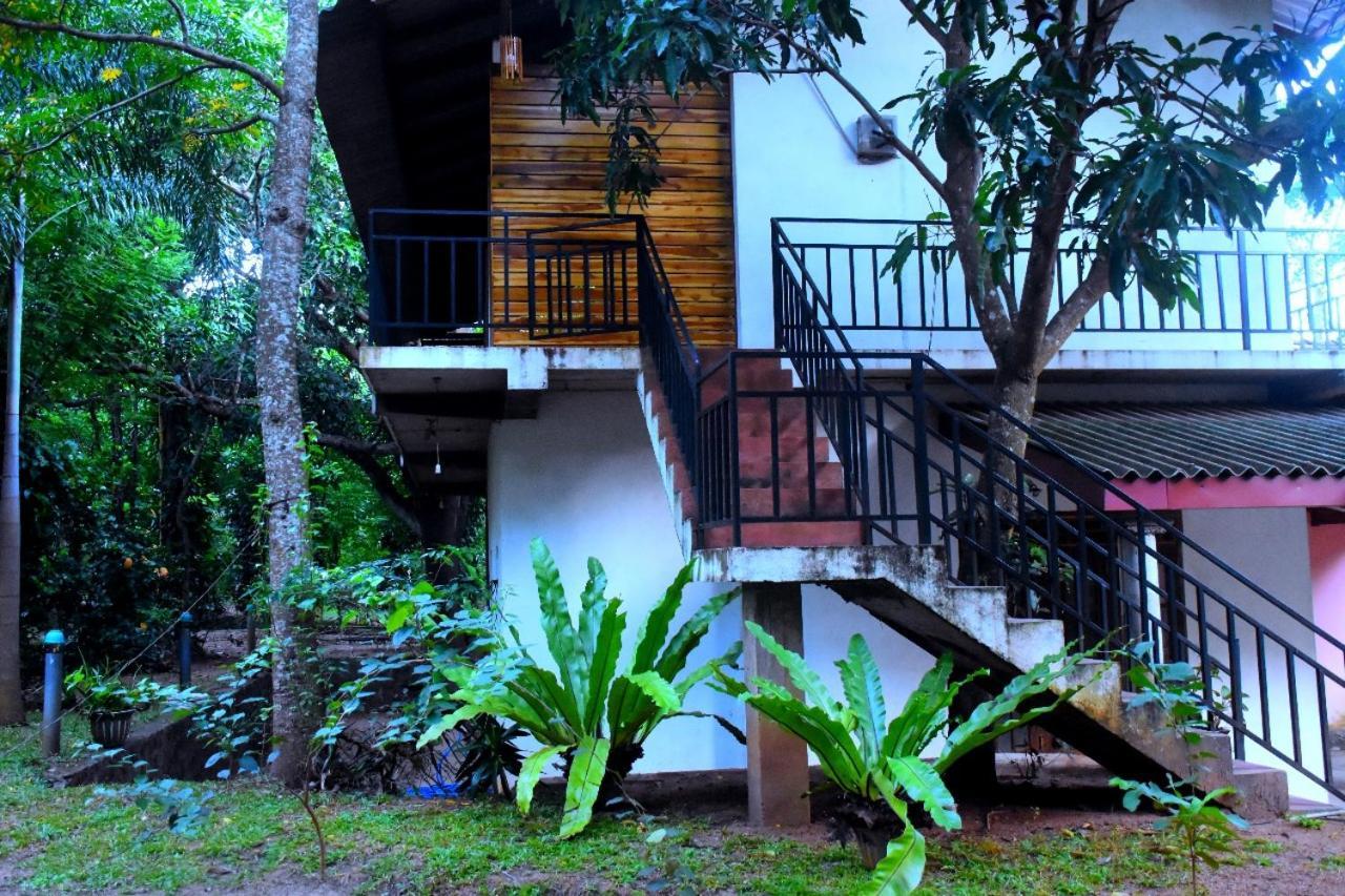 Wild Heaven Udawalawe Hotel Bagian luar foto