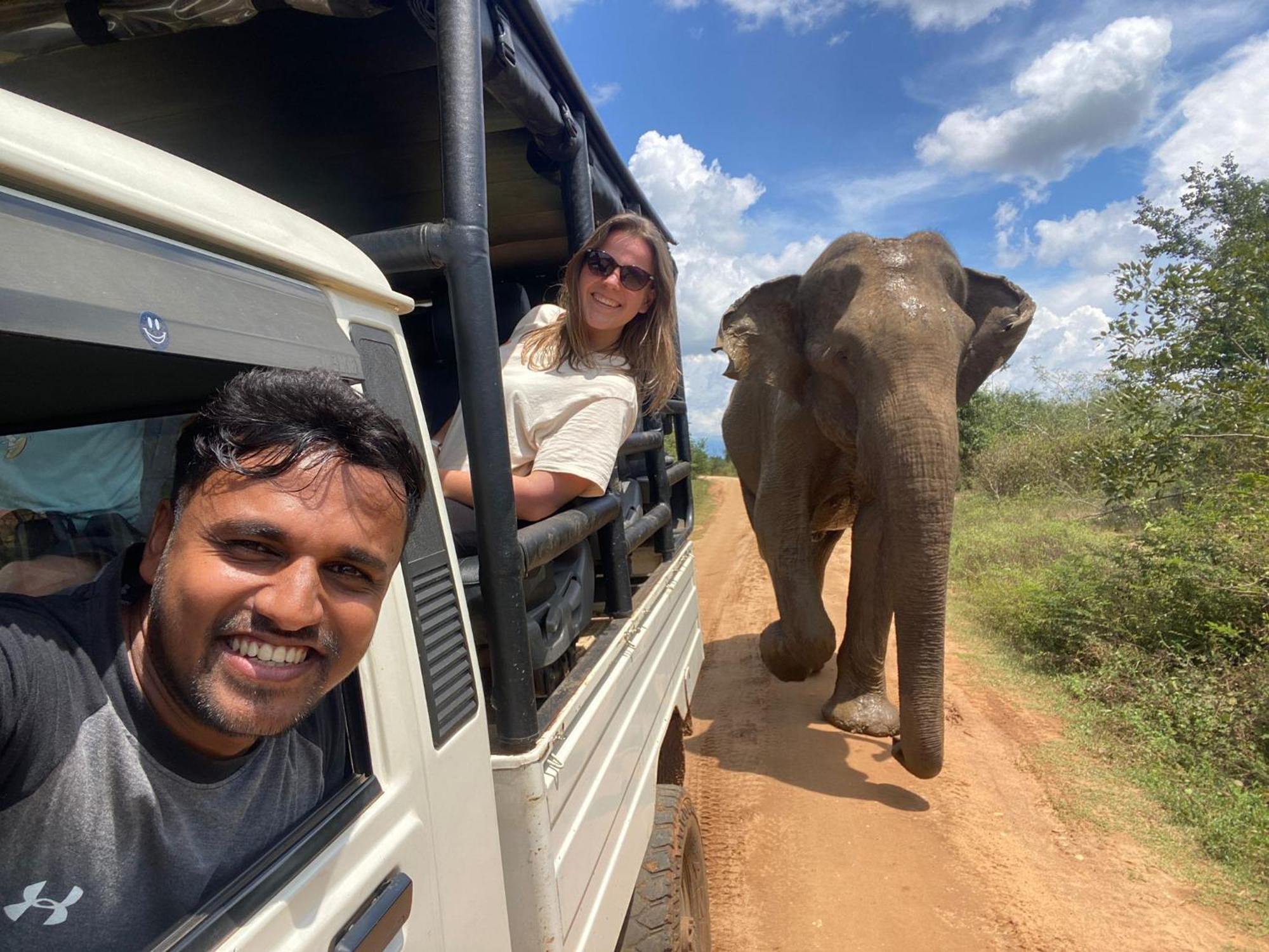 Wild Heaven Udawalawe Hotel Bagian luar foto
