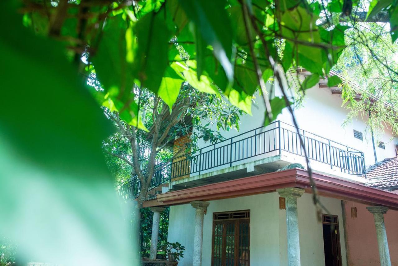 Wild Heaven Udawalawe Hotel Bagian luar foto
