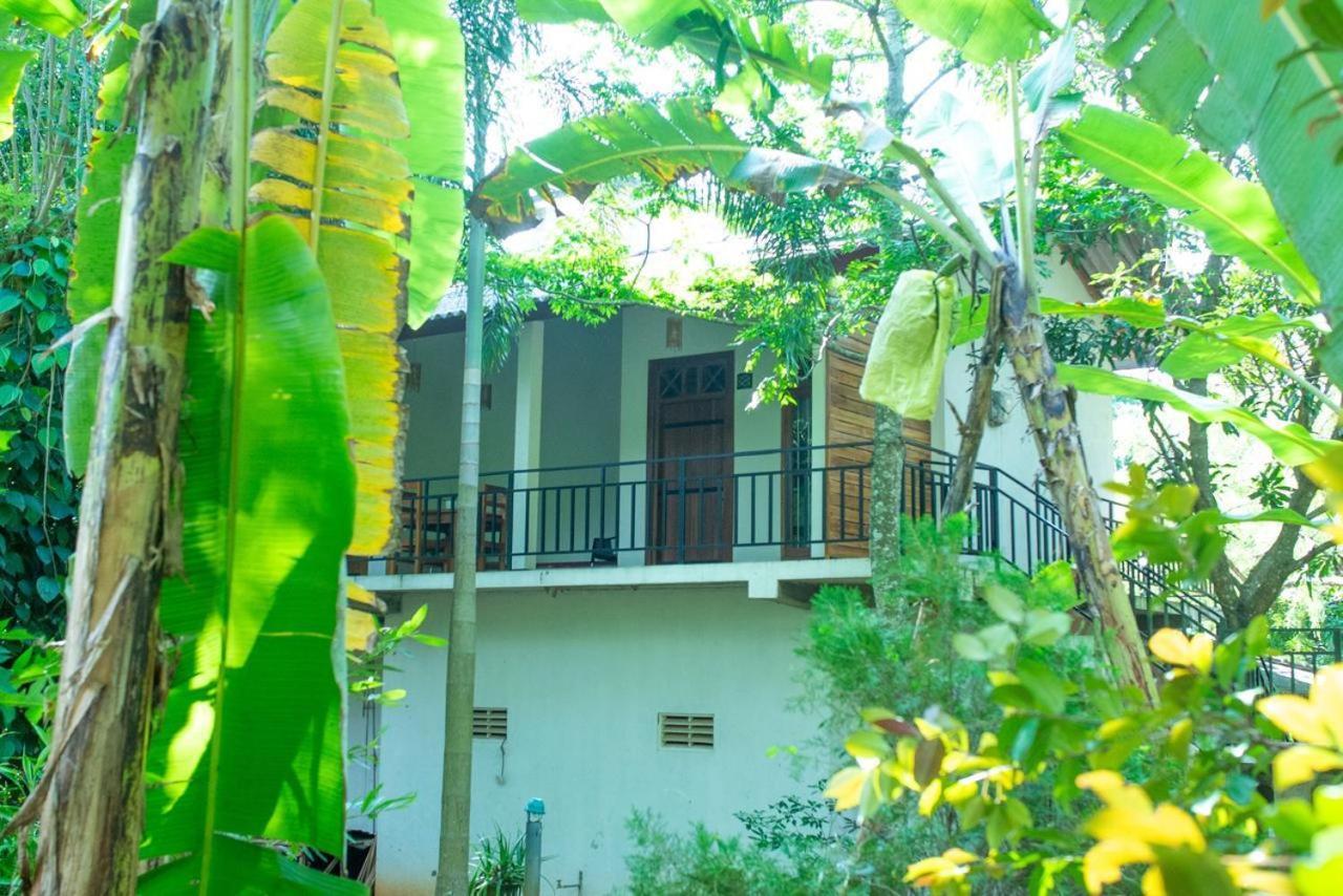 Wild Heaven Udawalawe Hotel Bagian luar foto