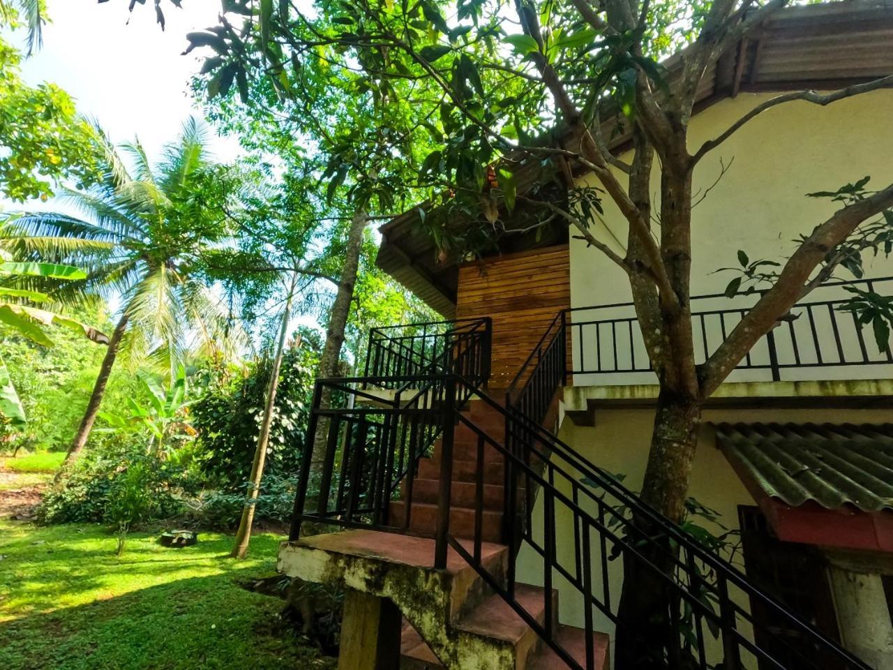 Wild Heaven Udawalawe Hotel Bagian luar foto