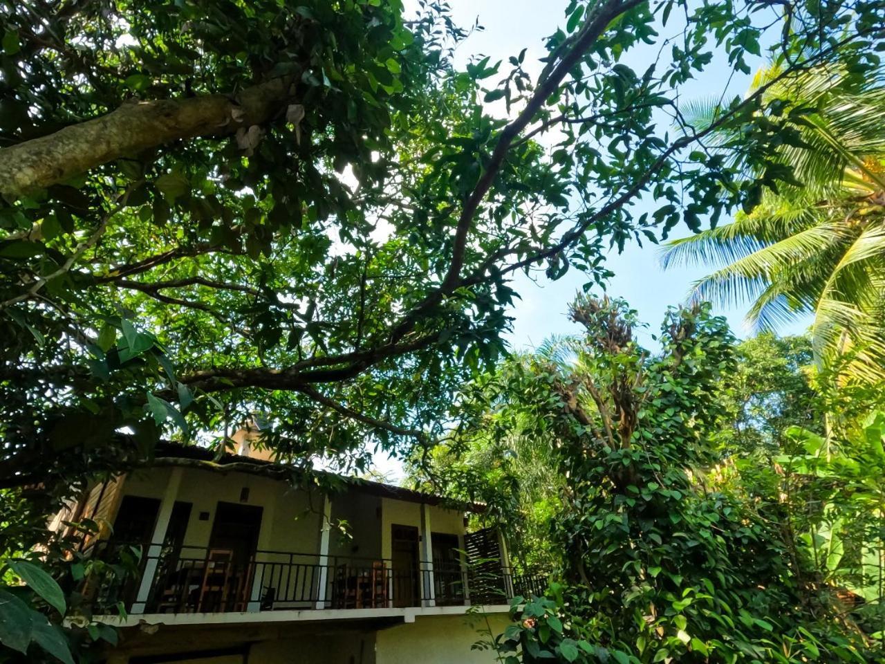 Wild Heaven Udawalawe Hotel Bagian luar foto