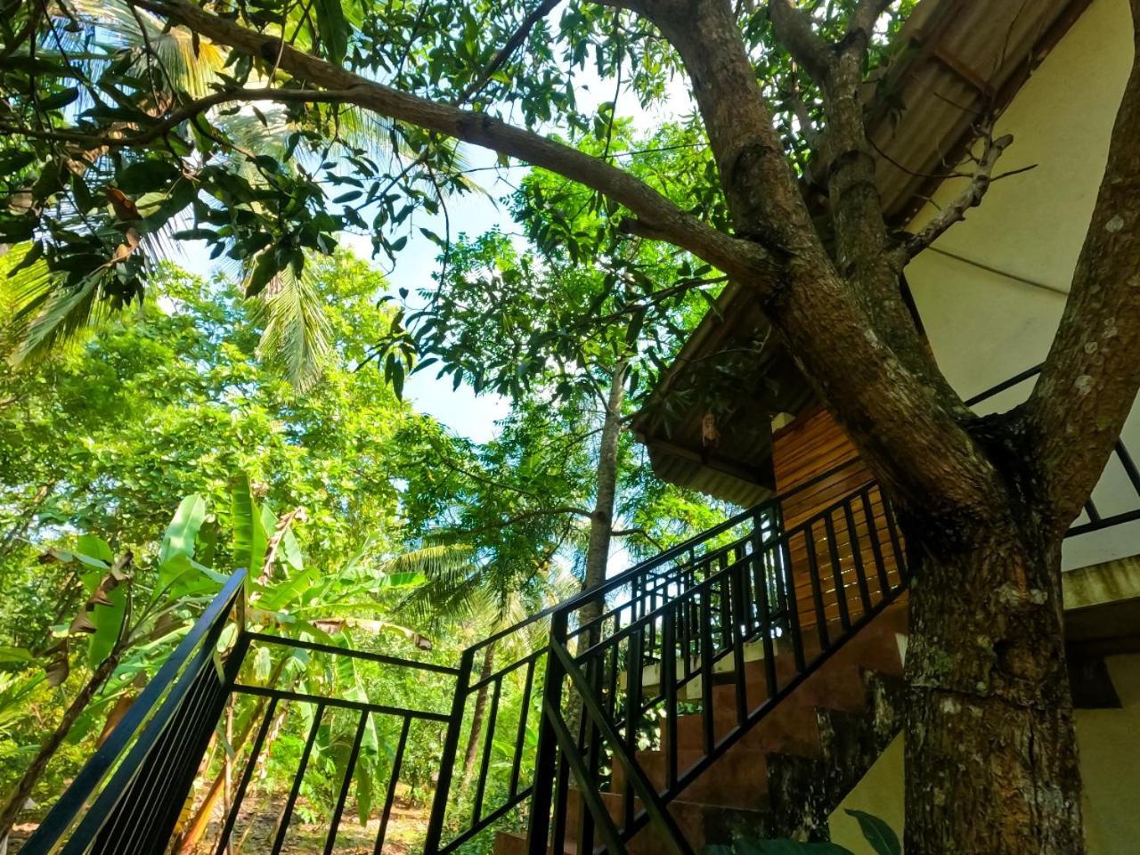 Wild Heaven Udawalawe Hotel Bagian luar foto