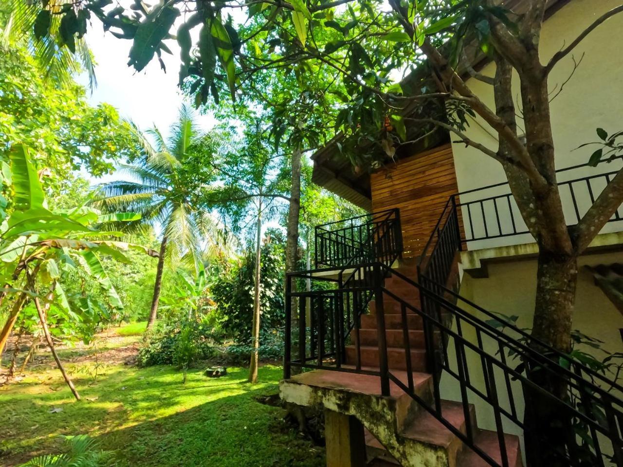 Wild Heaven Udawalawe Hotel Bagian luar foto