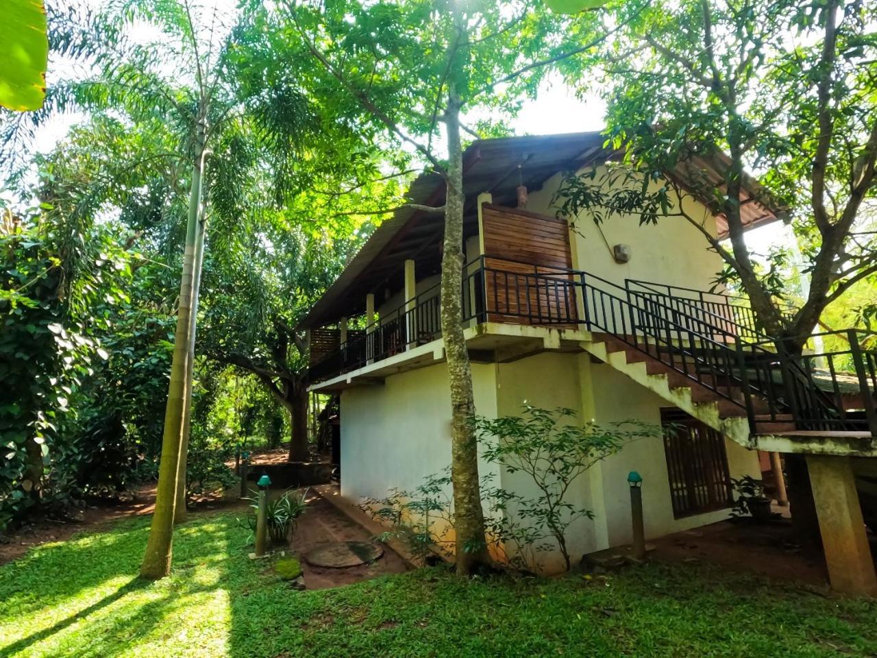 Wild Heaven Udawalawe Hotel Bagian luar foto