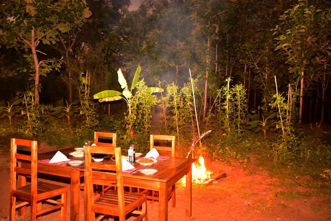 Wild Heaven Udawalawe Hotel Bagian luar foto