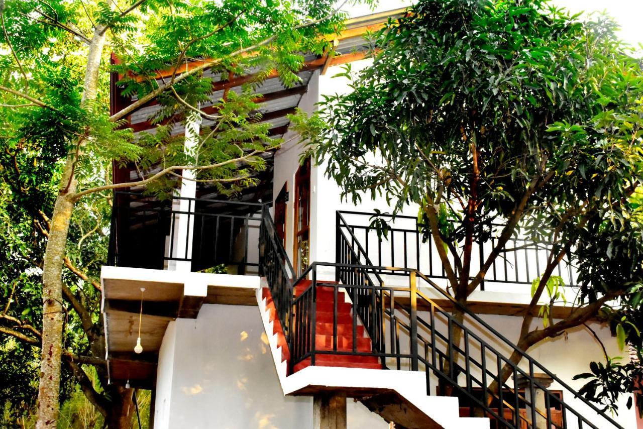 Wild Heaven Udawalawe Hotel Bagian luar foto