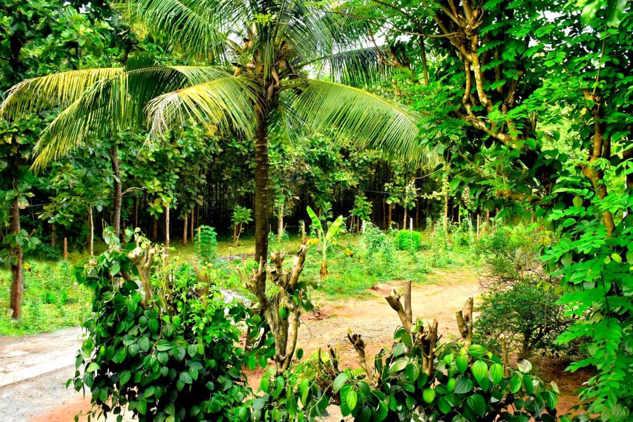 Wild Heaven Udawalawe Hotel Bagian luar foto