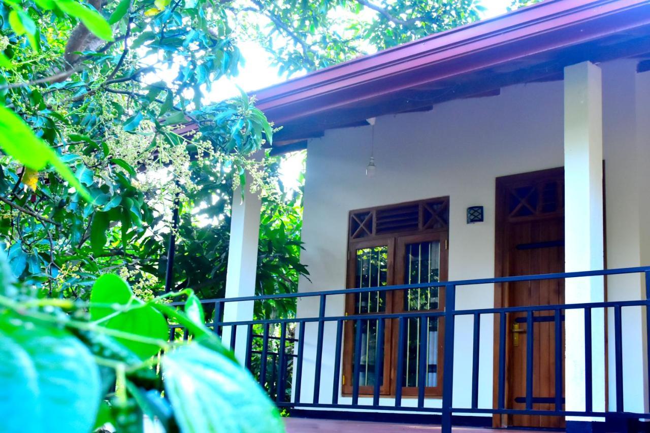 Wild Heaven Udawalawe Hotel Bagian luar foto